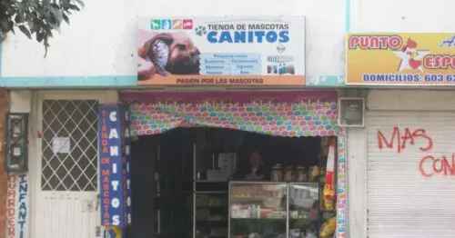 TIENDA DE MASCOTAS CANITOS BOGOTÁ TIENDA DE MASCOTAS CANITOS BOGOTÁ